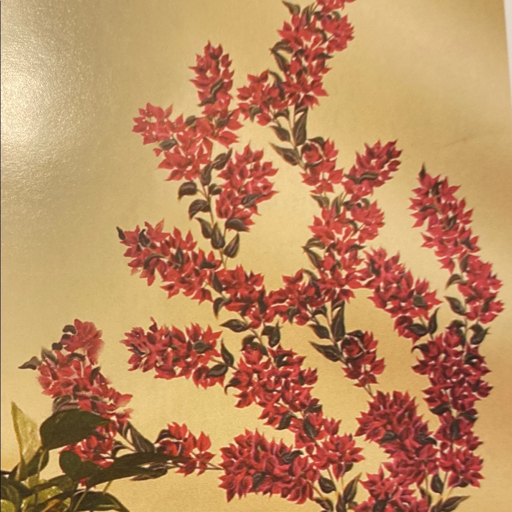 Tatouage Hand Painted Murals Rub on with Pink Floral Design